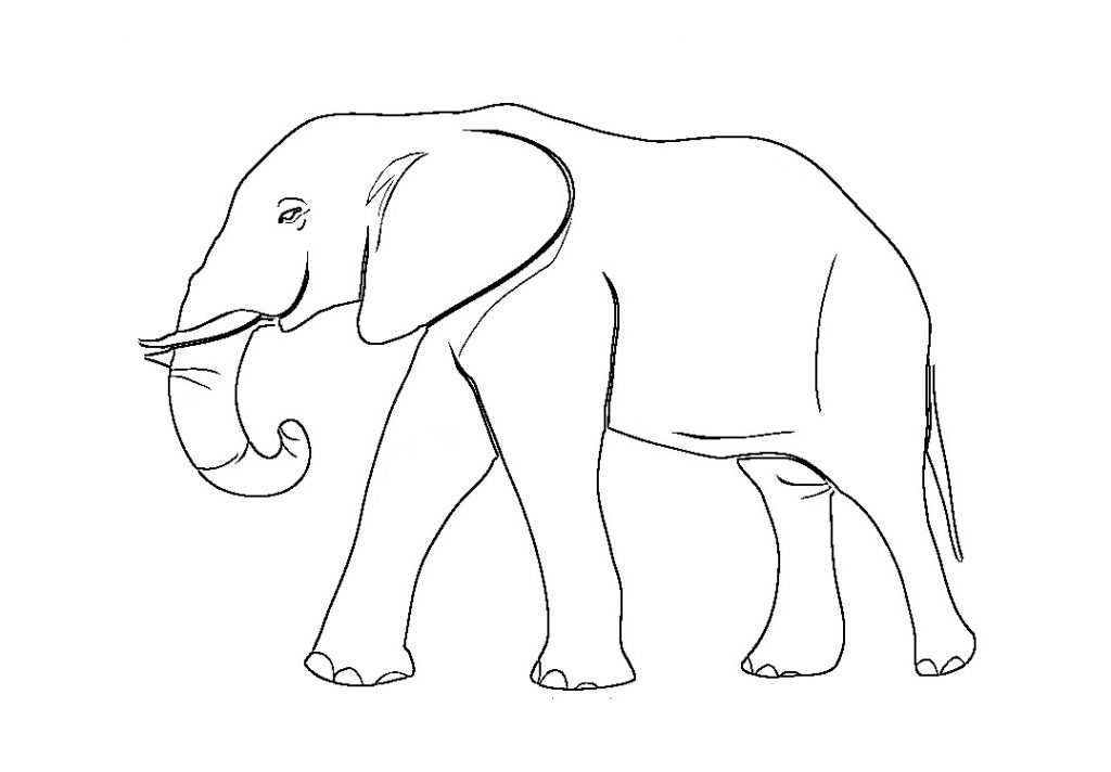 Coloriage Elephant A Imprimer Gratuit - Livre Coloriage encequiconcerne Dessin Coloriage Éléphant