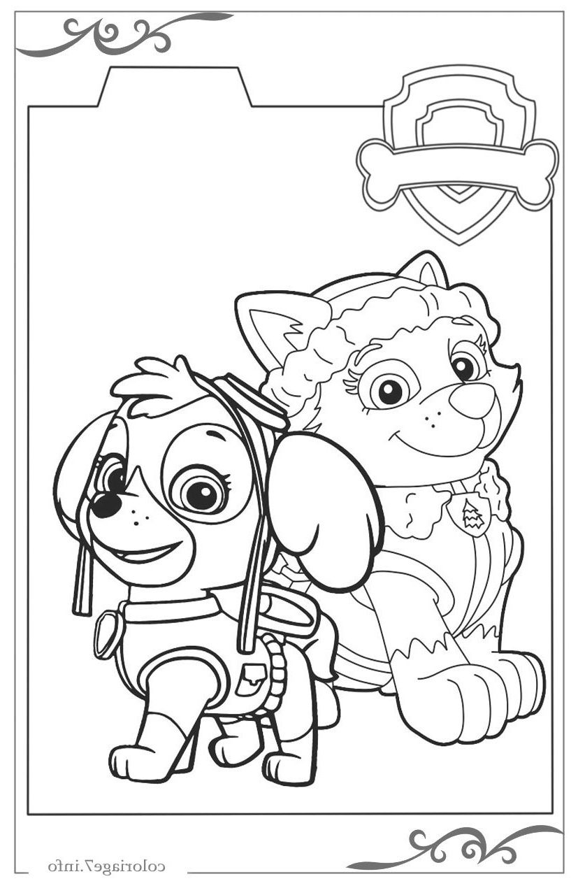 Coloriage En Ligne Gratuit Pat Patrouille encequiconcerne Coloriage En Ligne,