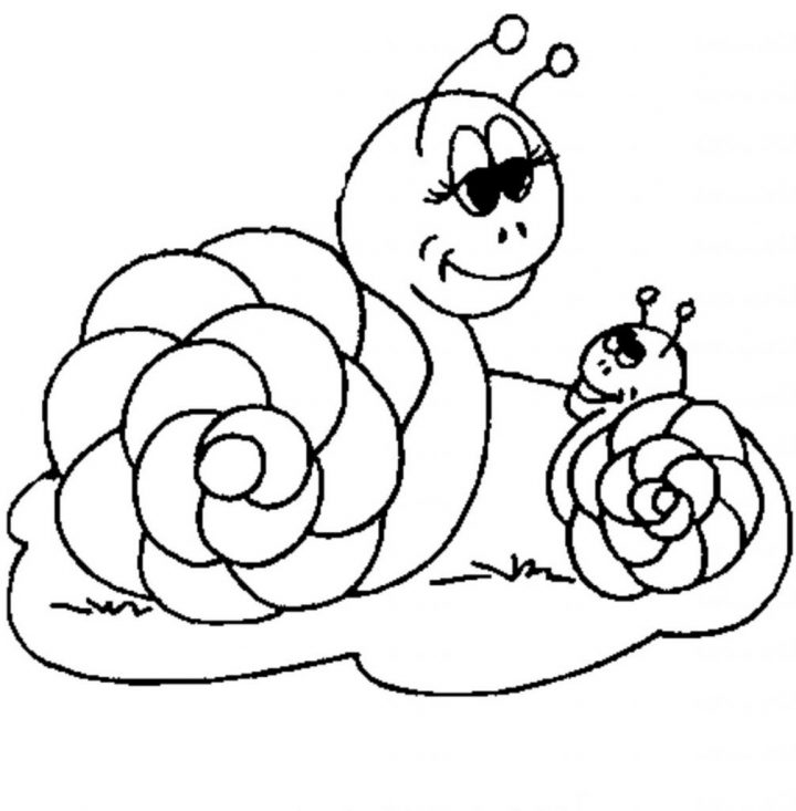 Coloriage Escargot #6562 (Animaux) - Album De Coloriages destiné Dessin Escargot