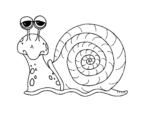 Coloriage Escargot Gratuit À Imprimer concernant Escargot Dessin Coloriage