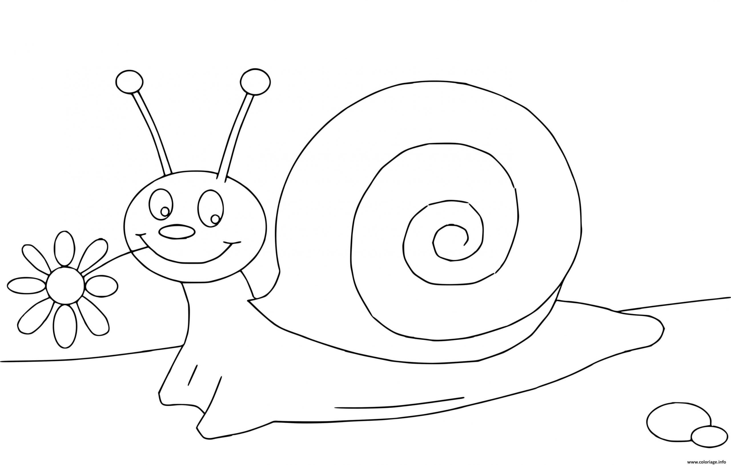 Coloriage Escargot Maternelle Cp1 Avec Une Fleur Dessin intérieur Coloriage Une Fleur