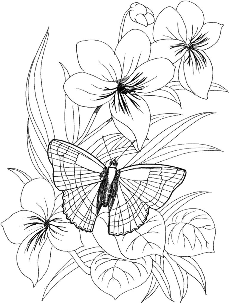 Coloriage Fleurs. De Belles Images Pour La Créativité Des encequiconcerne Coloriage Dessin Fleurs