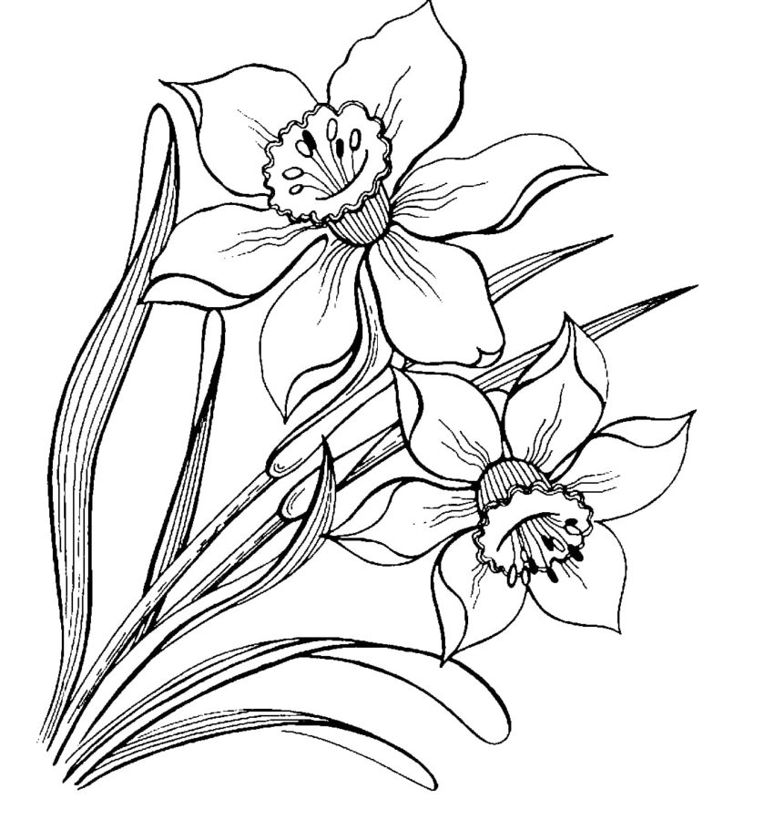 Coloriage Fleurs. De Belles Images Pour La Créativité Des pour Coloriage Fleurs