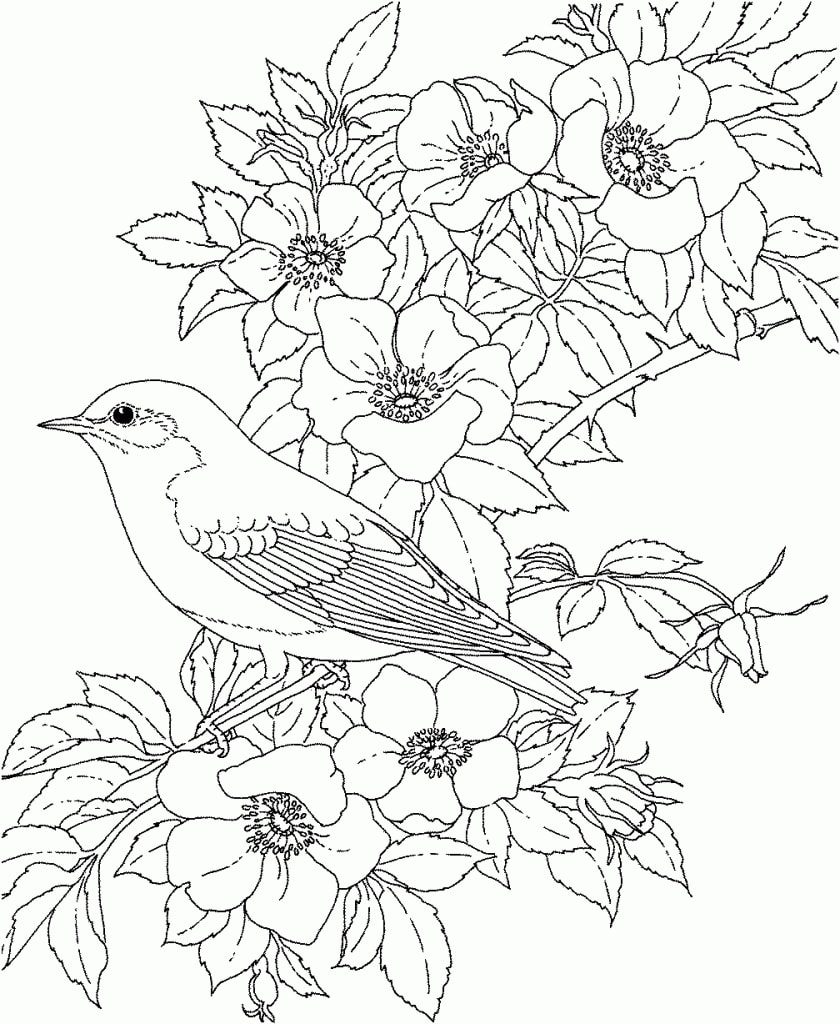 Coloriage Fleurs. De Belles Images Pour La Créativité Des pour Coloriage Fleurs