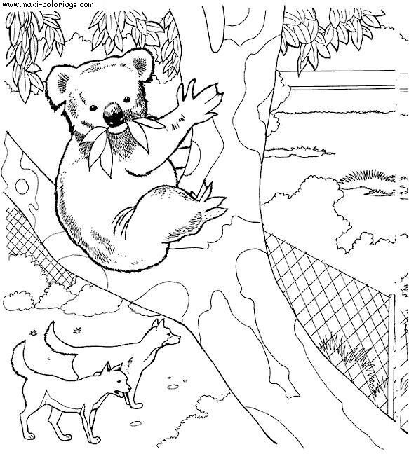 Coloriage Fr: Coloriage Animaux Zoo A Imprimer serapportantà Zoo Dessin Coloriage Animaux