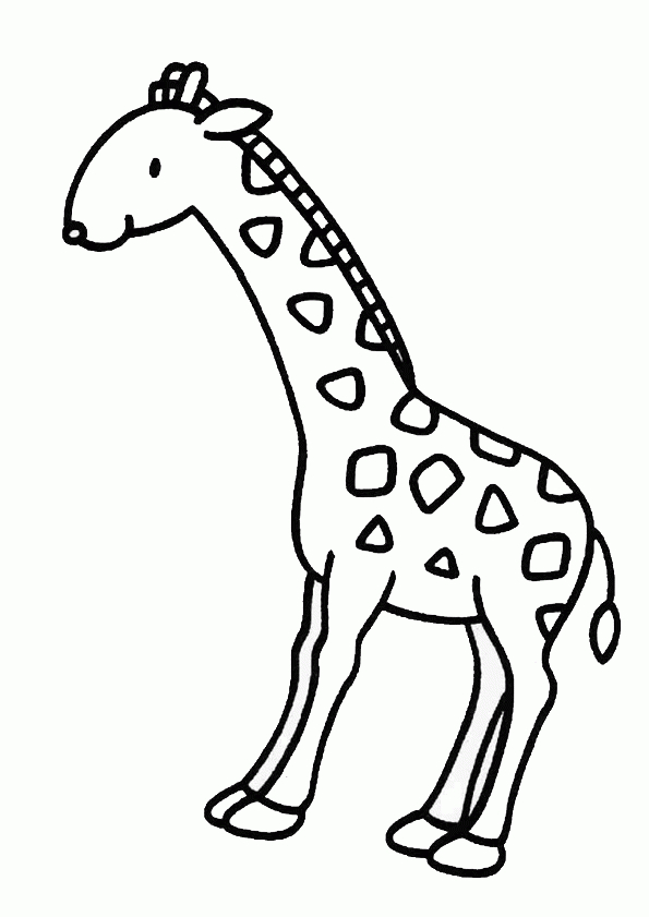 Coloriage Girafe 4 Sur Hugolescargot encequiconcerne Coloriage Dessin Girafe