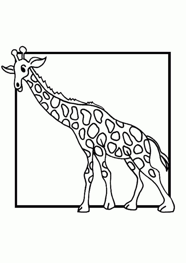 Coloriage Girafe 6 Sur Hugolescargot dedans Coloriage Girafe