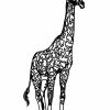 Coloriage Girafe - Oh Kids Fr intérieur Coloriage Girafe