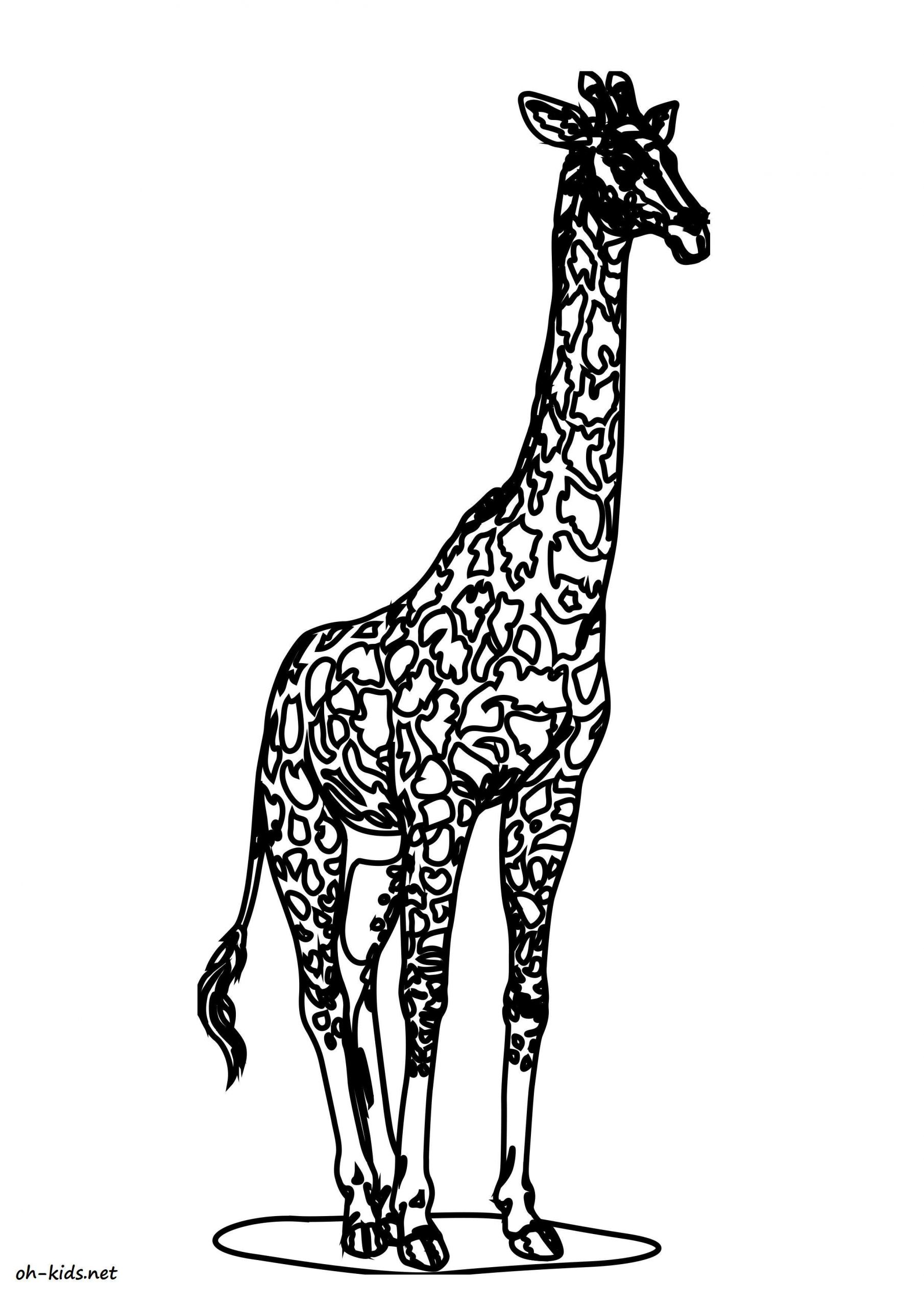Coloriage Girafe - Oh Kids Fr intérieur Coloriage Girafe