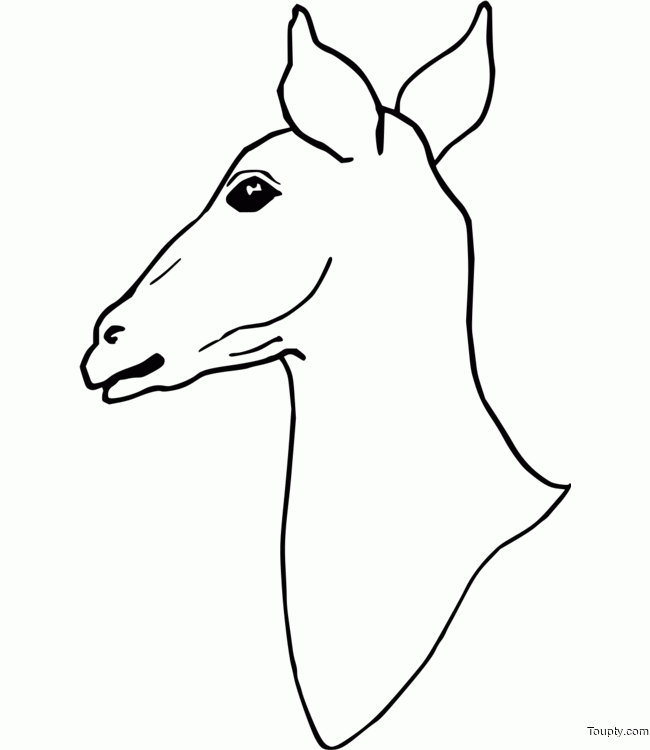 Coloriage Gratuit De Biche destiné Coloriage Dessin De Biche