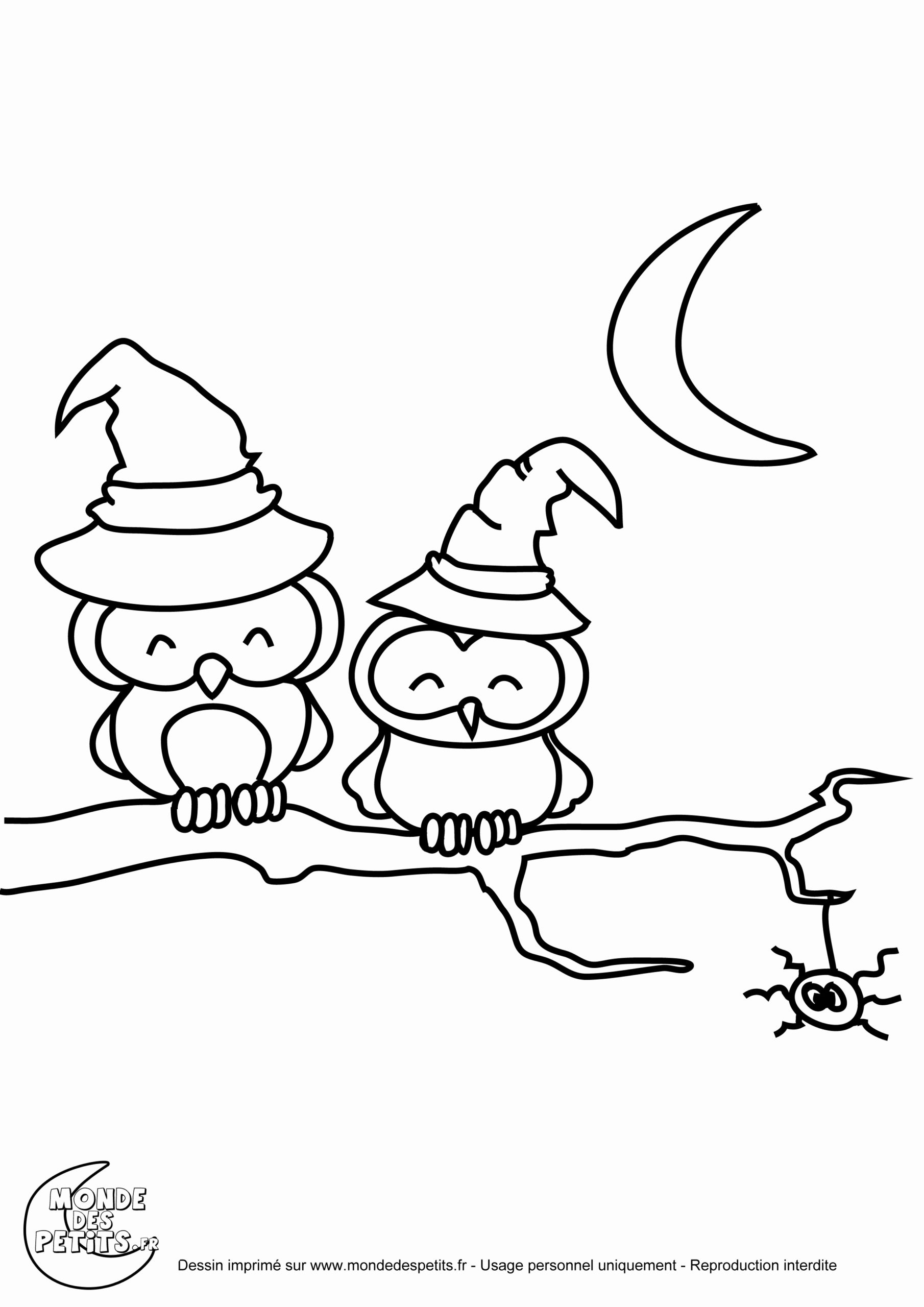 Coloriage Halloween Sorciere Qui Fait Peur | Coloriage Kids serapportantà Dessin Qui Fait Peur