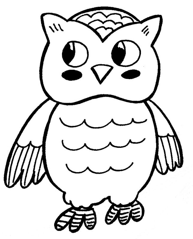 Coloriage Hibou À Imprimer Pour Les Enfants - Cp13705 tout Coloriage Hibou