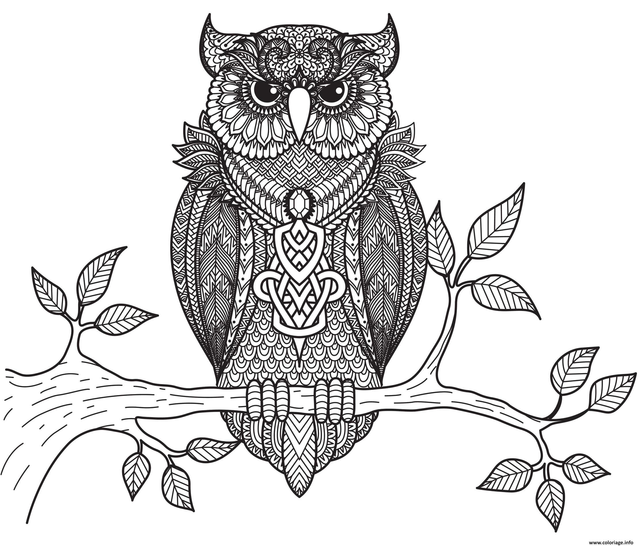 Coloriage Hibou Animaux Adulte Anti Stress Par Bimbimkha serapportantà Coloriage Animaux