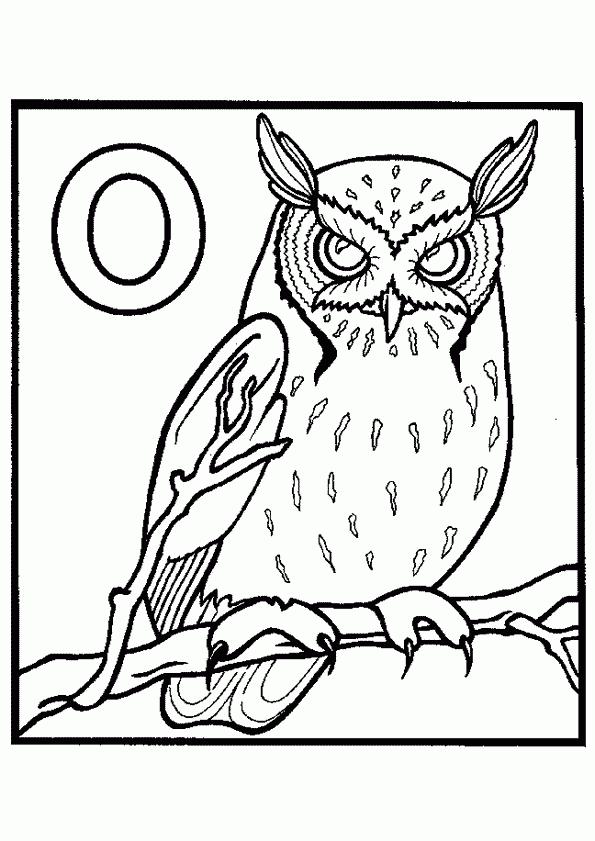 Coloriage Hibou Owl Sur Hugolescargot dedans Coloriage Hibou