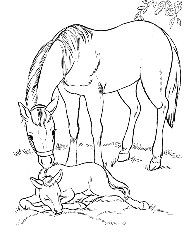 Coloriage Horseland #53922 (Dessins Animés) - Album De pour Coloriage Horseland