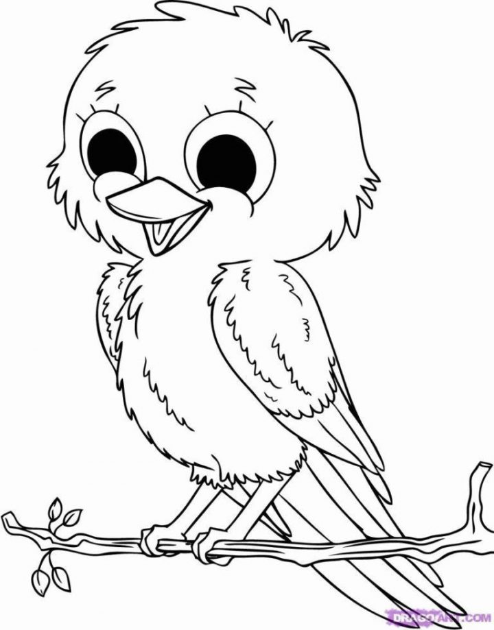 Coloriage Imprimer Oiseaux Exotiques  Coloriage Imprimer concernant