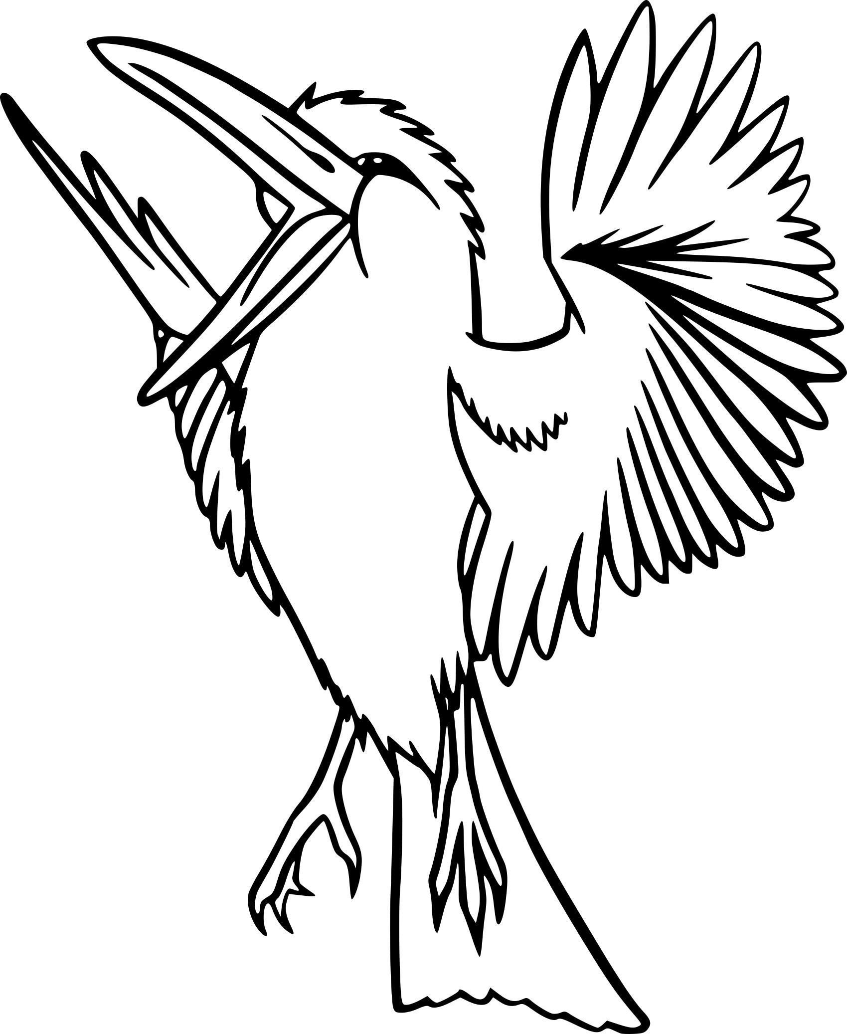 Coloriage Imprimer Oiseaux Exotiques - Coloriage Imprimer tout Coloriage Oiseaux