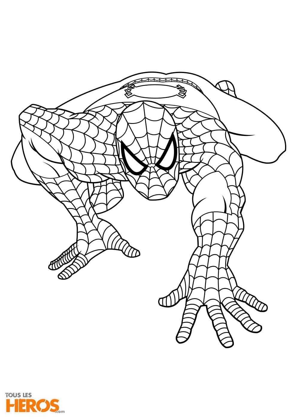 Coloriage Imprimer Spiderman Gratuit - Coloriage Imprimer encequiconcerne Dessin De Spiderman,
