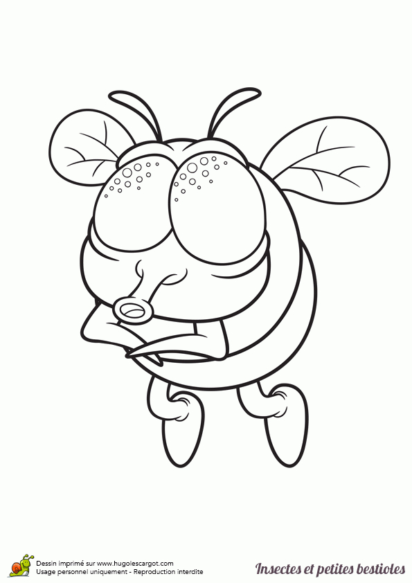 Coloriage Insecte Et Petite Bestiole, Une Mouche intérieur Coloriage Insectes