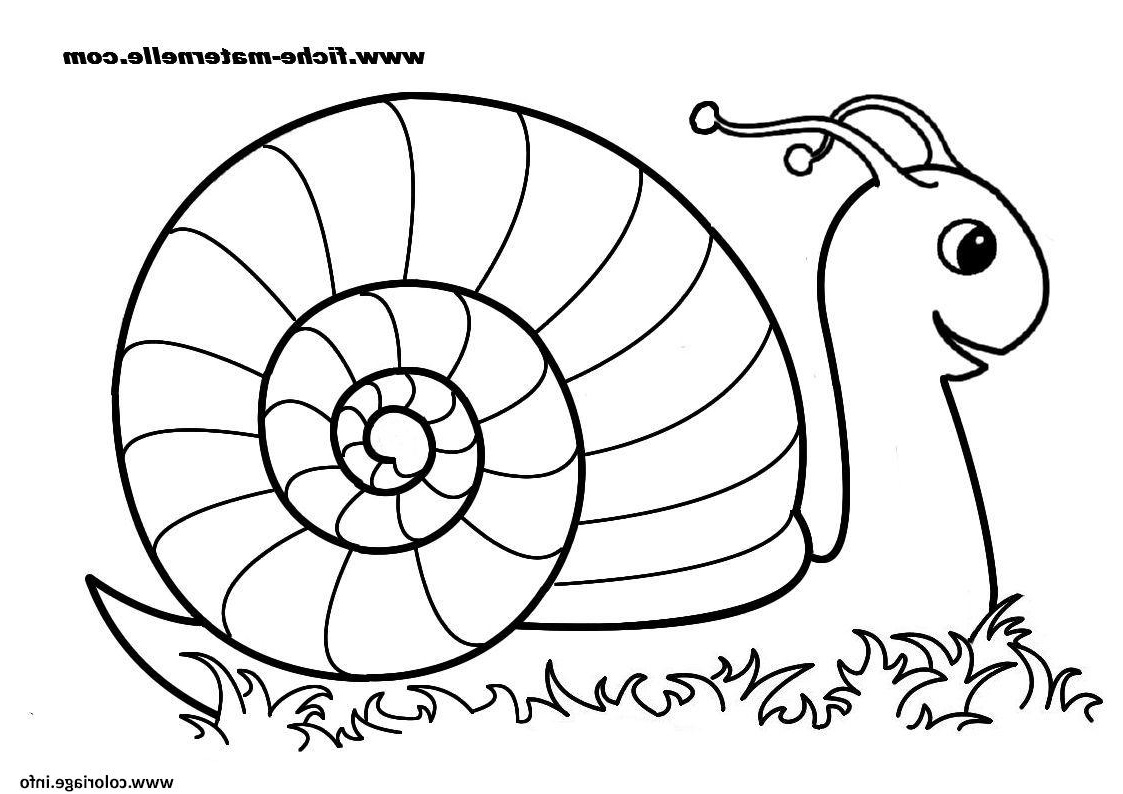 Coloriage  Inspirant Collection Coloriage Rentree dedans Escargot Dessin Coloriage