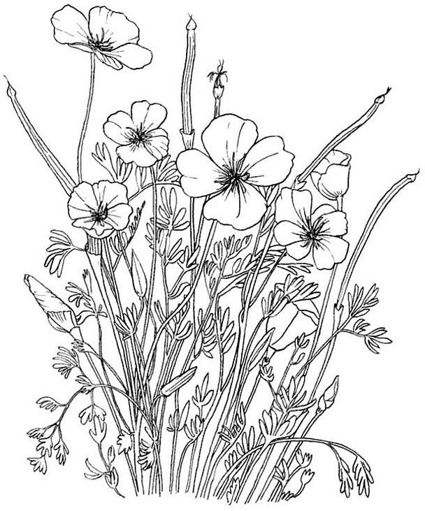 Coloriage Jardin Fleurs Gratuit À Imprimer destiné Coloriage Fleurs