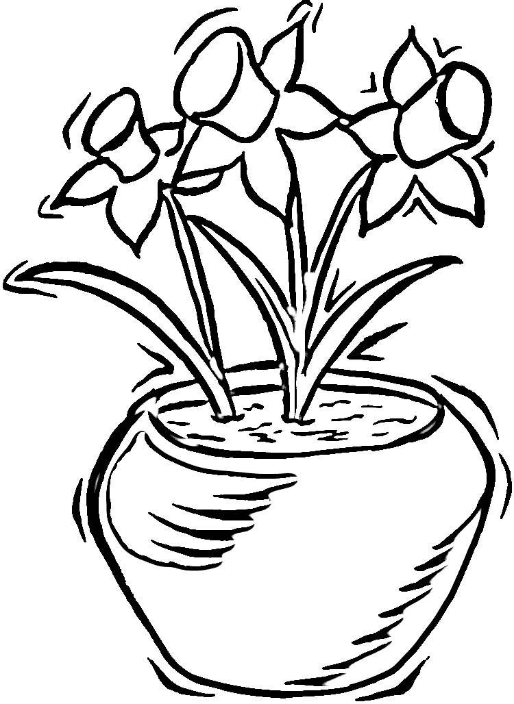 Coloriage Jonquille Gratuit À Imprimer Et Colorier serapportantà Comment Colorier Un Dessin