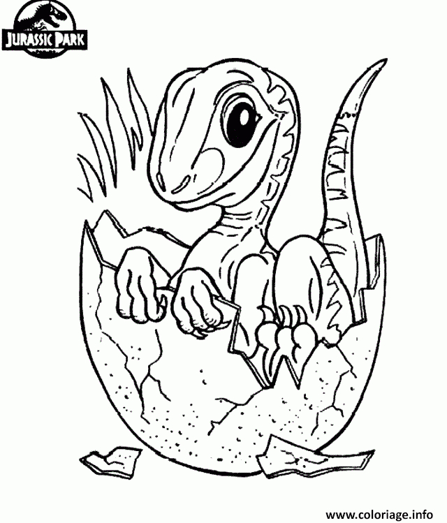 Coloriage Jurassic Park Dinosaure 24 Dessin À Imprimer tout Dessin Coloriage Jurassic World