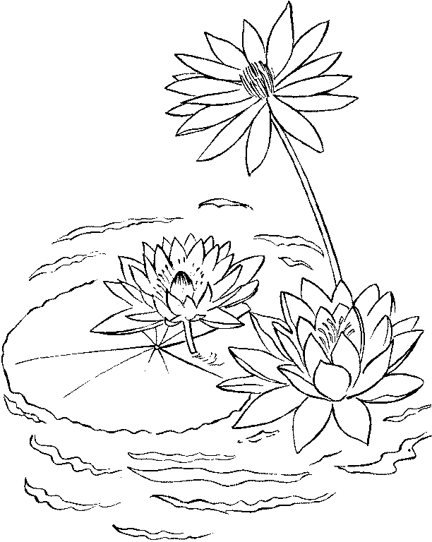 Coloriage Lac #166200 (Nature) - Album De Coloriages tout Coloriage Étang Dessin