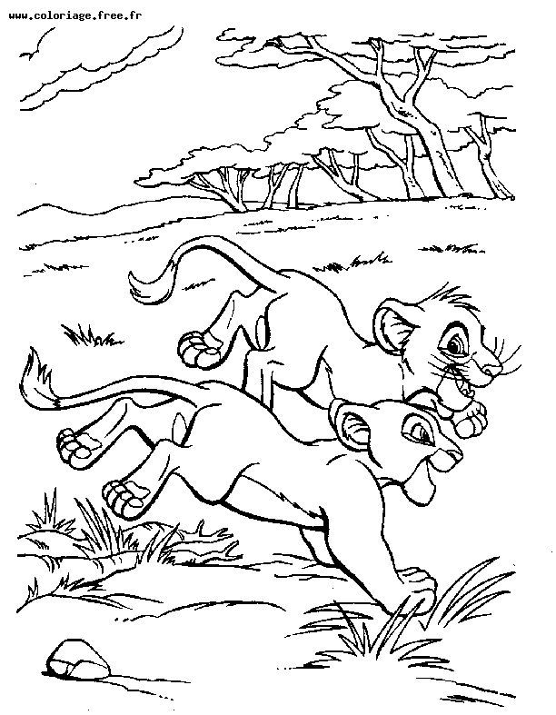 Coloriage Le Roi Lion #73875 (Films D&amp;#039;Animation) - Album intérieur Dessin Roi Lion