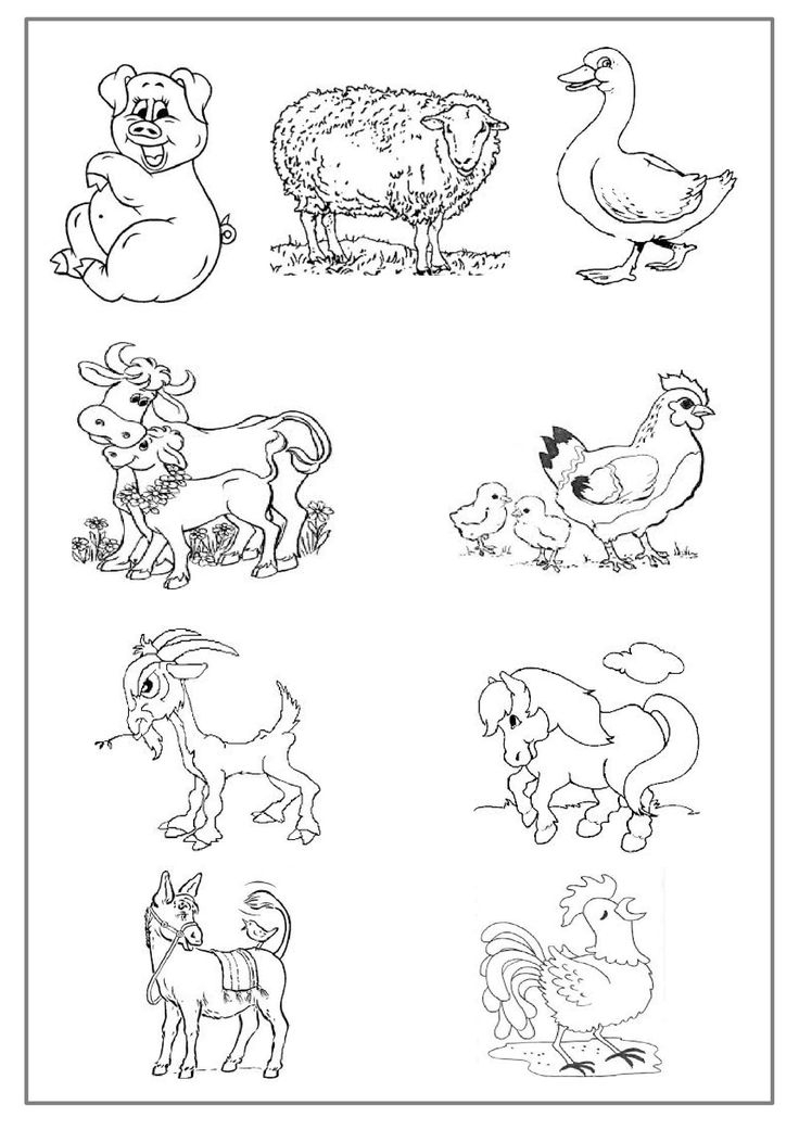 Coloriage Les Animaux De La Ferme Preprof | Coloriage tout Coloriage Ferme