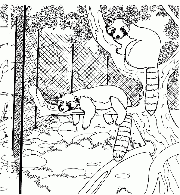 Coloriage Les Animaux Du Zoo 11 - Coloriage En Ligne serapportantà Coloriage Zoo