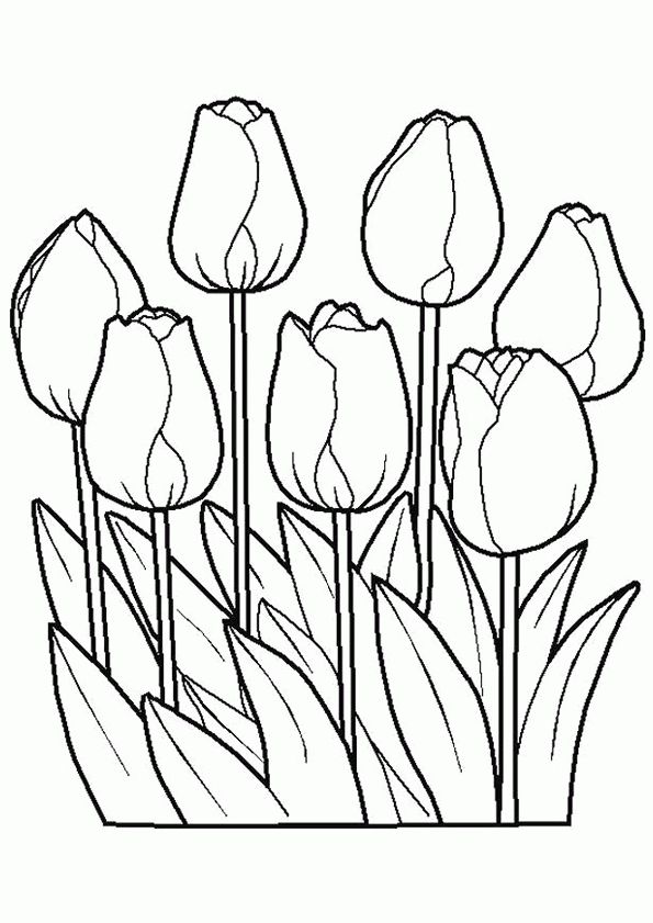 Coloriage Les Fleurs Le Jardin Aux Tulipes pour Coloriage Fleur,