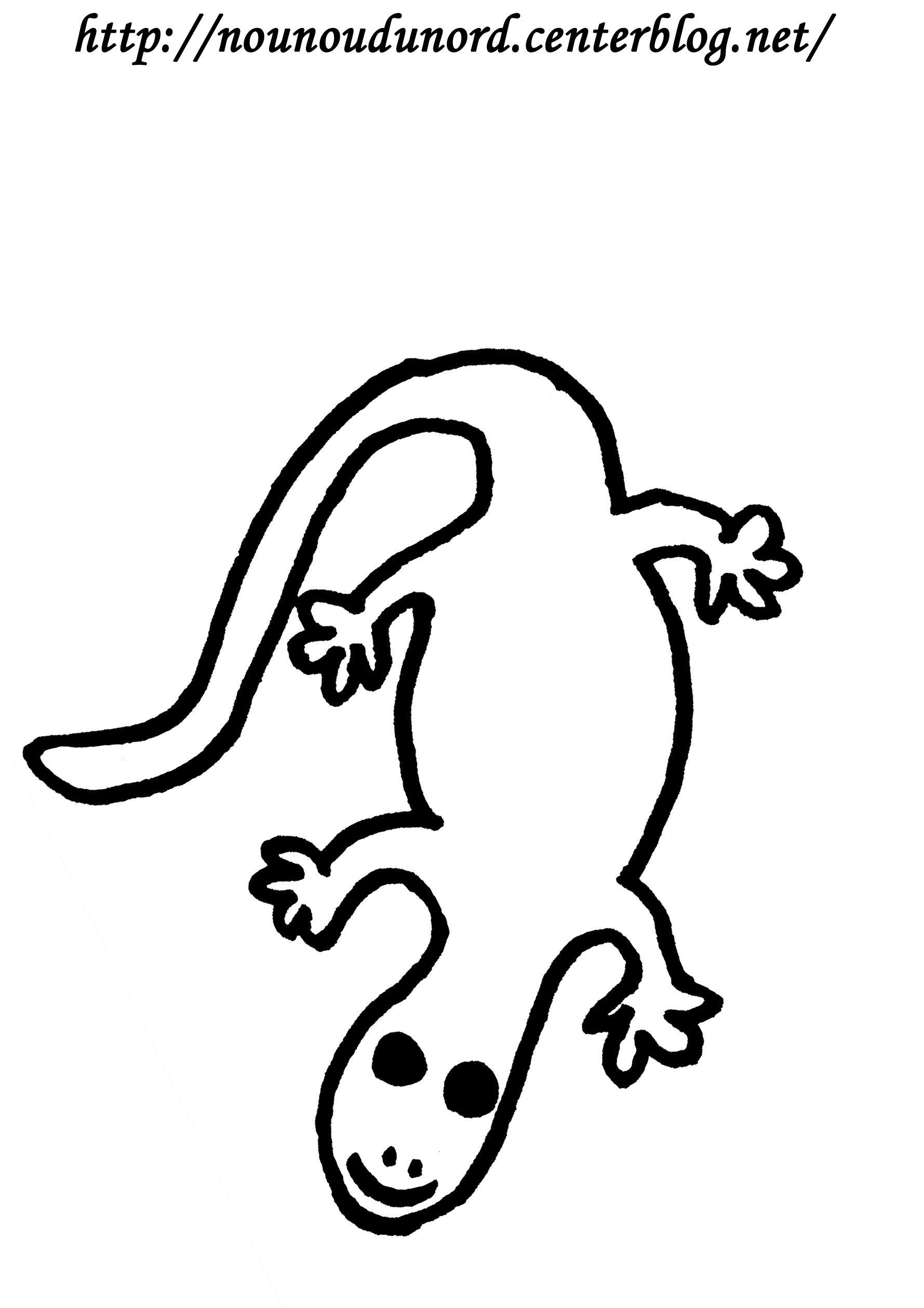 Coloriage Lézard Réalisé Par Nounoudunord. dedans Coloriage Dessin Facile