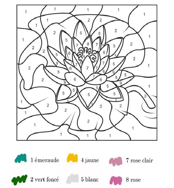 Coloriage Magique : Le Lotus - Rentrez Dans Le Monde Des à Coloriage Magique W