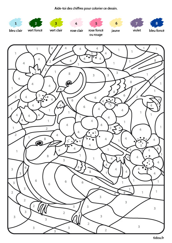 Coloriage Magique, Les Oiseaux - Tidou.fr pour Dessin 6 Ans Facile,