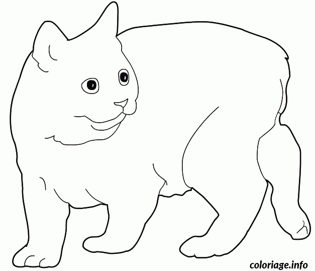 Coloriage Manx Chat De L Ile De Man Dessin Chat À Imprimer pour Coloriage Dessin Tete De Chat