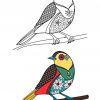 Coloriage Oiseau Avec Illustration Échantillon Doodle encequiconcerne Coloriage Oiseau