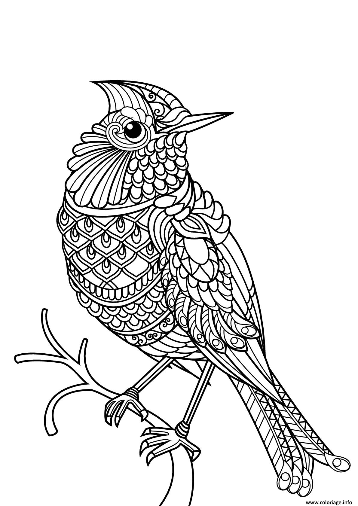 Coloriage Oiseau Mandala Difficile Adulte Dessin Oiseau À intérieur Coloriage A Imprimer Gratuit,