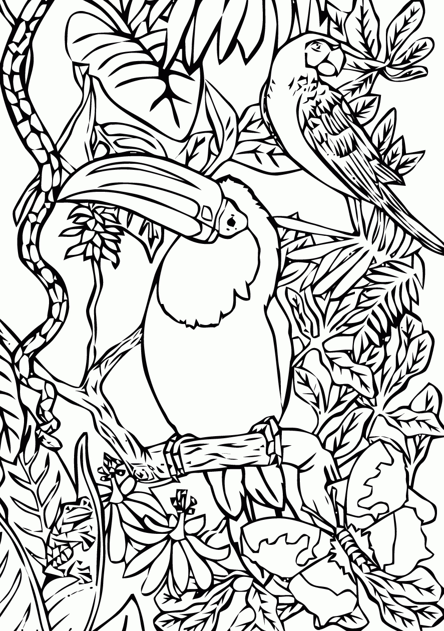 Coloriage Oiseau Qui Vole Imprimer intérieur Dessin R A Imprimer