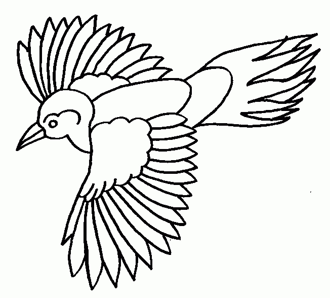 Coloriage | Oiseaux | Oiseau-25 dedans Coloriage Oiseaux