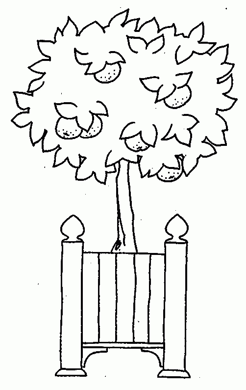 Coloriage Orange 05 - Coloriage En Ligne Gratuit Pour Enfant serapportantà Coloriage Orange