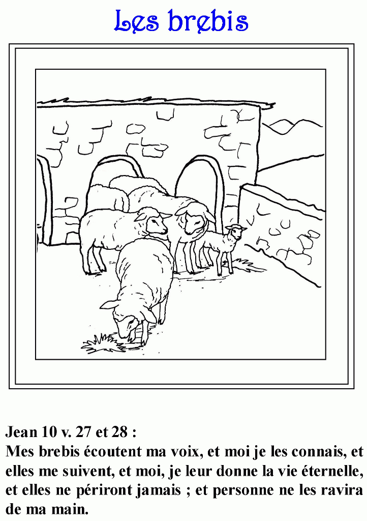 Coloriage - Page 8 | Coloriage, Histoire Biblique, Choisir encequiconcerne Dessin Biblique,