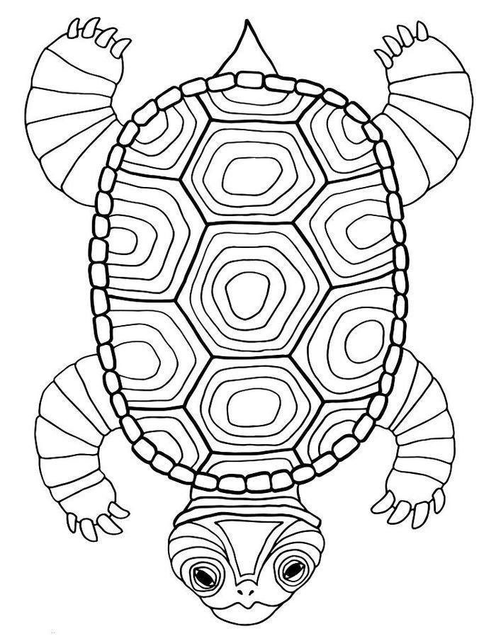 Coloriage Pages Géométrique Tortue - Coloriages Pour encequiconcerne G Coloriage