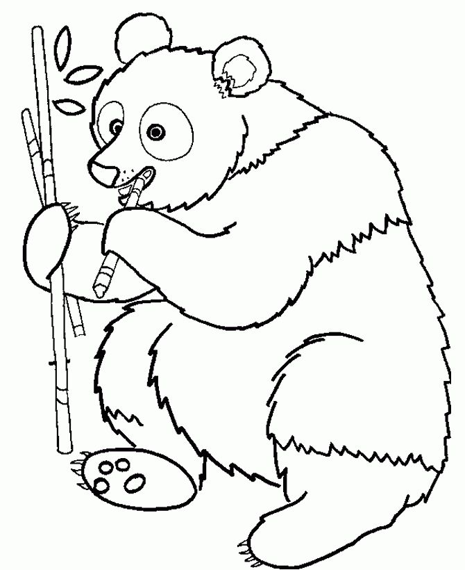 Coloriage Pandas À Imprimer Pour Les Enfants - Cp19939 destiné Coloriage Dessin Panda