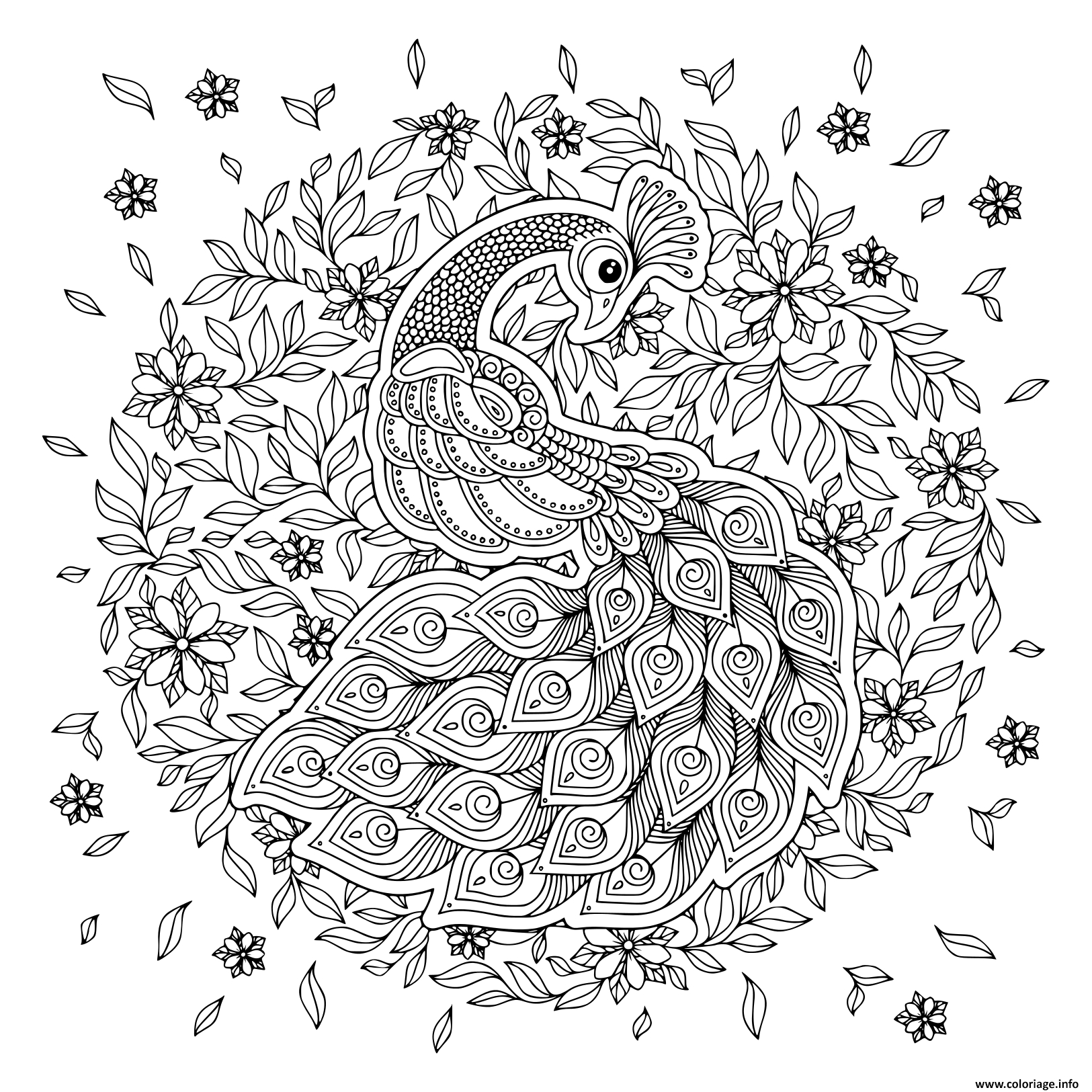 Coloriage Paon Oiseau Adulte Mandala Dessin Paon À Imprimer destiné Coloriage Mandala Dessin A Imprimer