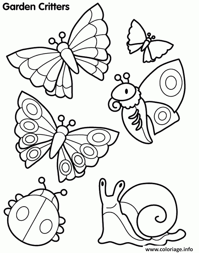 Coloriage Papillon 90 Dessin Papillon À Imprimer tout Coloriage Dessin Papillon