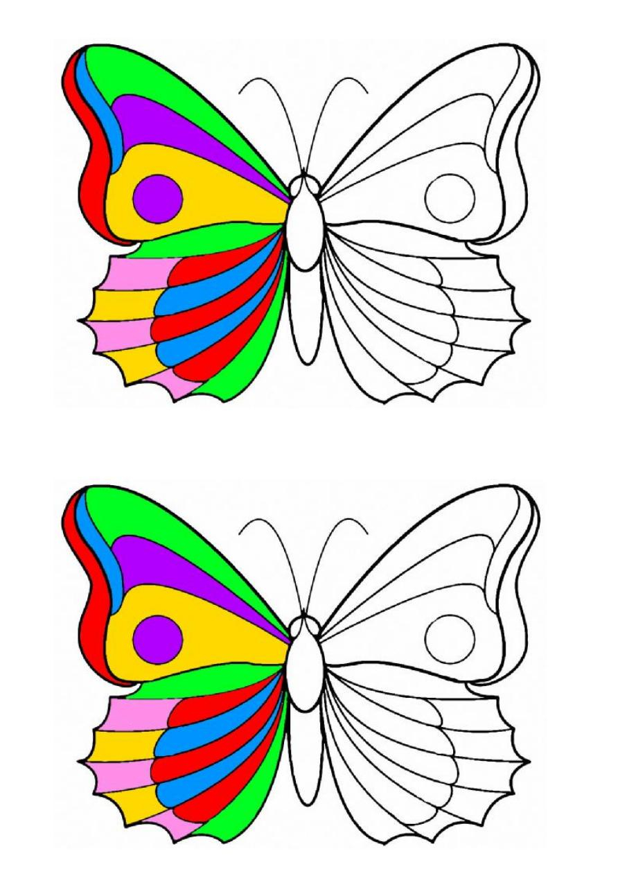 Coloriage Papillon Par Pasca - Fichier Pdf dedans Dessin Ip,