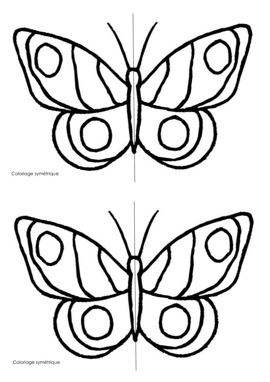 Coloriage Papillon Par Pasca - Fichier Pdf destiné Dessin Ip,