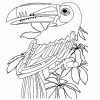 Coloriage Perroquet Toucan Sur Hugolescargot encequiconcerne Oiseau Dessin À Colorier
