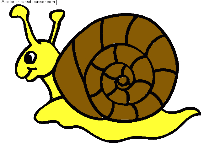 Coloriage Petit Escargot - Sans Dépasser à Dessin Escargot